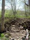 Site Specific Baptism Trail Work @ Landrus, PA