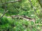 Stone Footbridge @ Landrus, PA